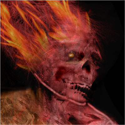 338.jpg